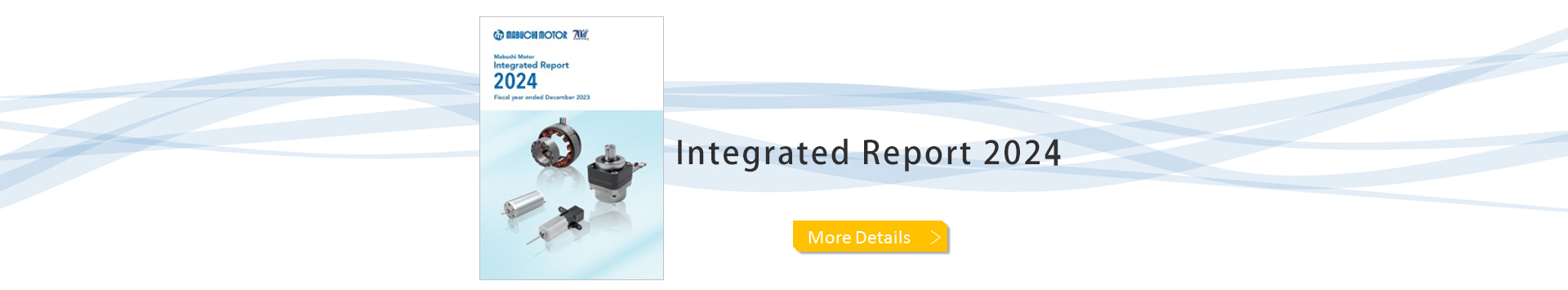 Integrated Report 2020