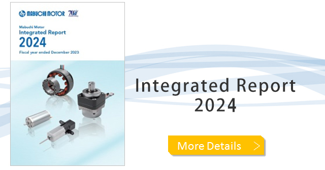 Integrated Report 2022